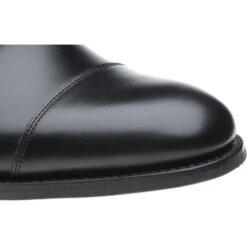 Bishop Rubber-soled Double Monk Shoes -Fashion Shoe Shop herring bishop in black calf 5