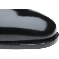 Cardiff II Monk Shoes 11 Cardiff II Monk Shoes -Fashion Shoe Shop herring cardiff ii in black polished 5