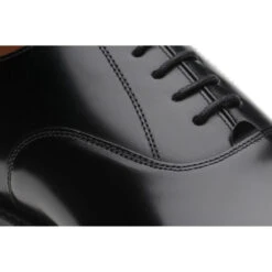 Newcastle Oxfords -Fashion Shoe Shop herring newcastle in black polished 4