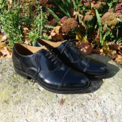 Newcastle Oxfords -Fashion Shoe Shop herring newcastle in black polished 6