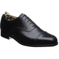 Regent Oxfords